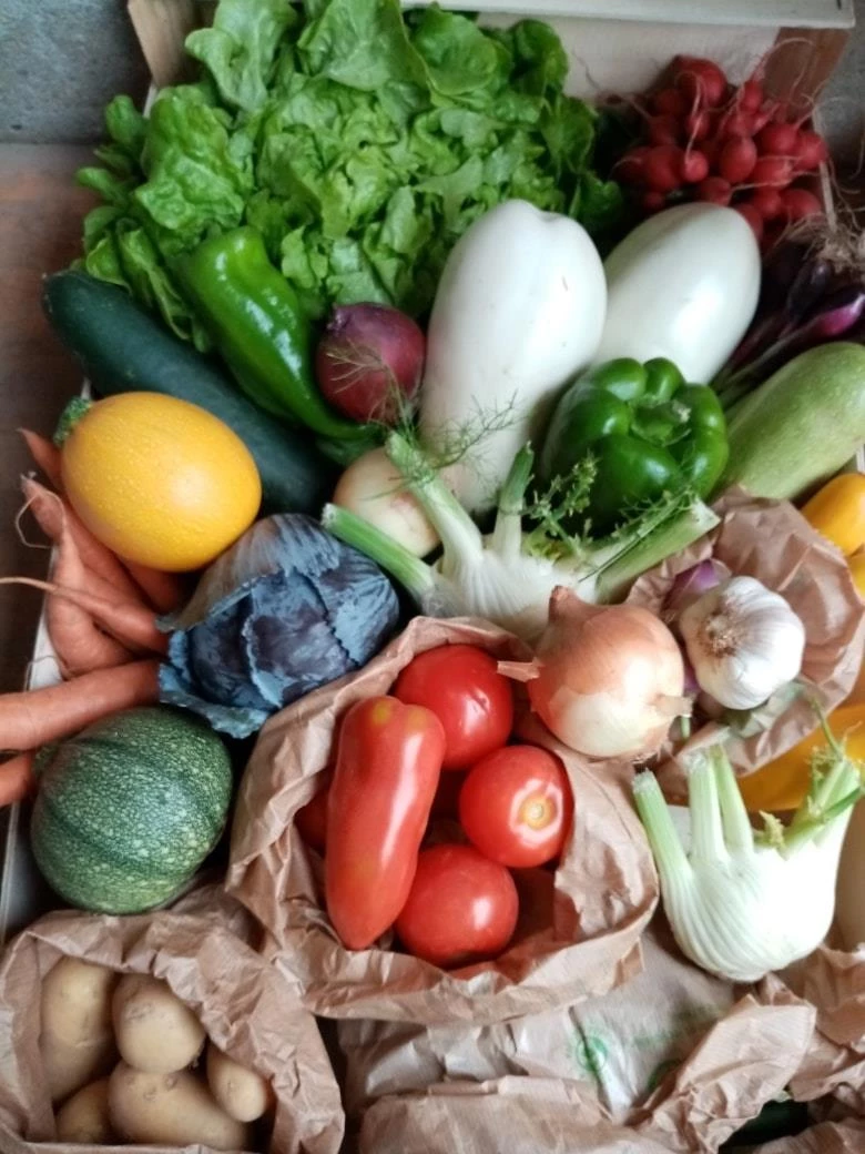 Panier de légumes bio