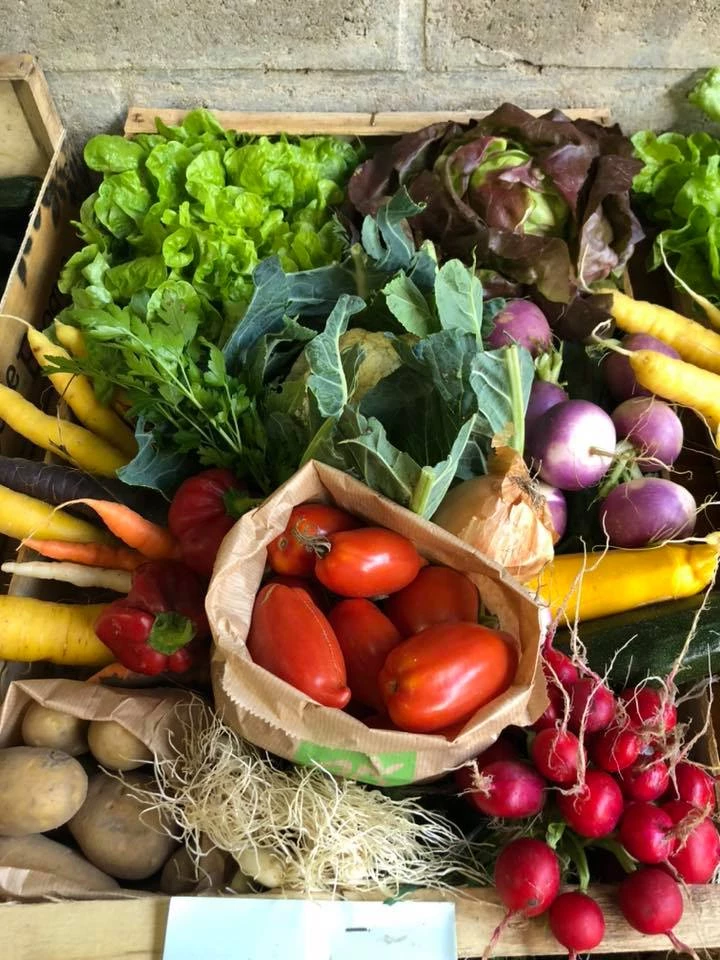 Panier de légumes bio